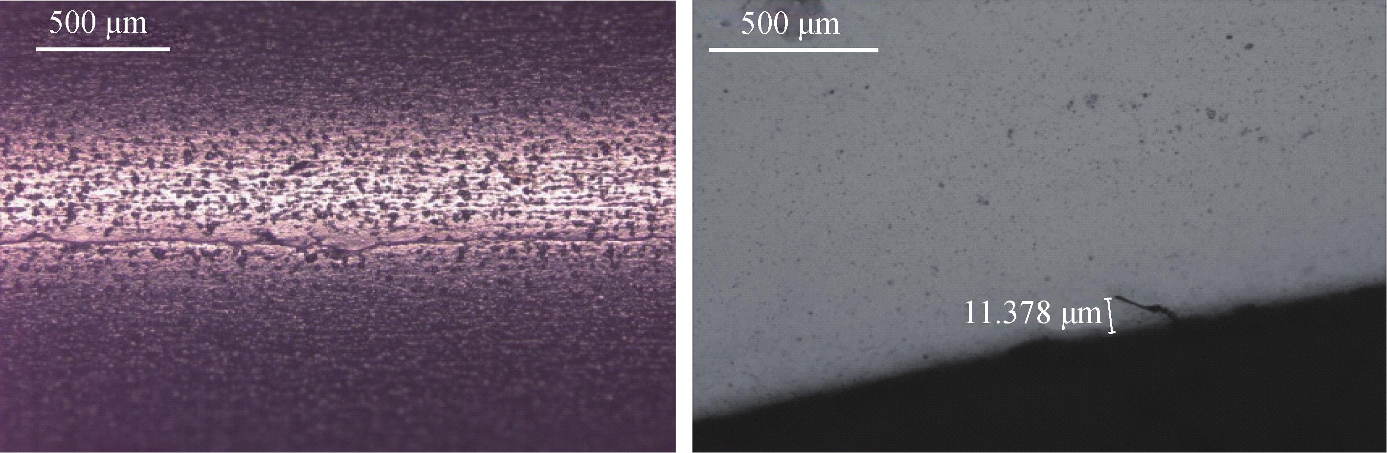 1648210207394535.jpg 11.jpg