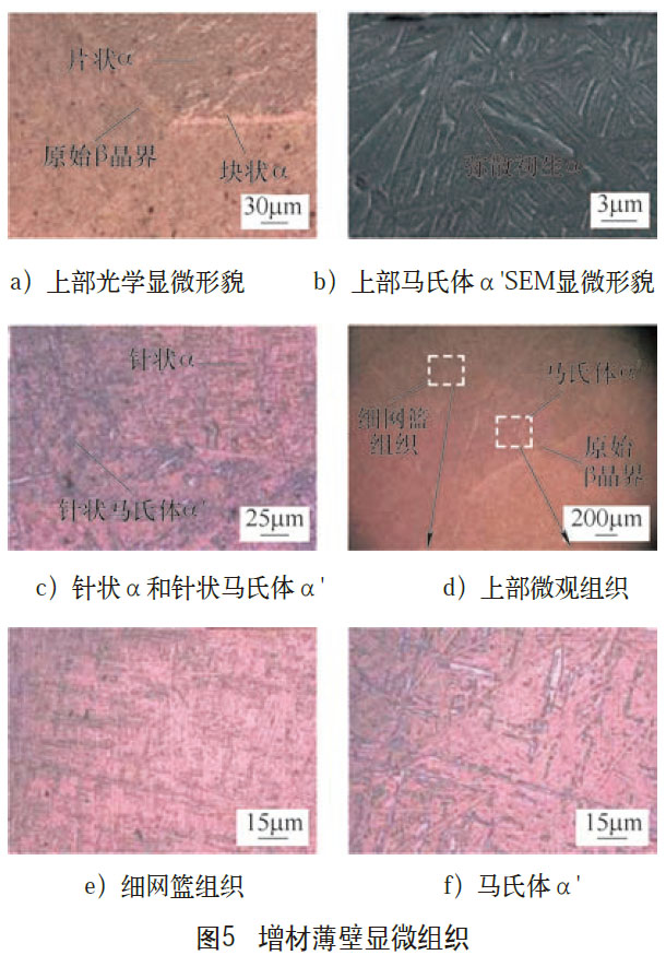 1672477207671295.jpg t5.jpg