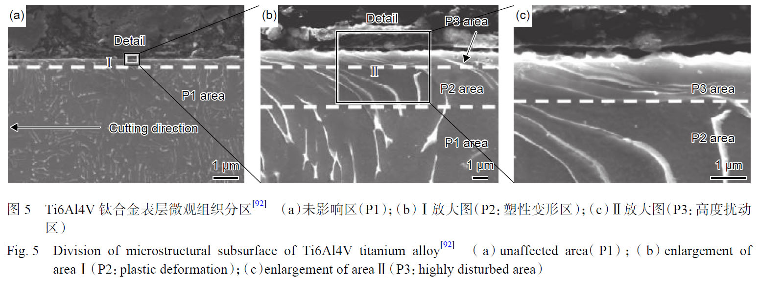 1672475723140434.jpg t5.jpg