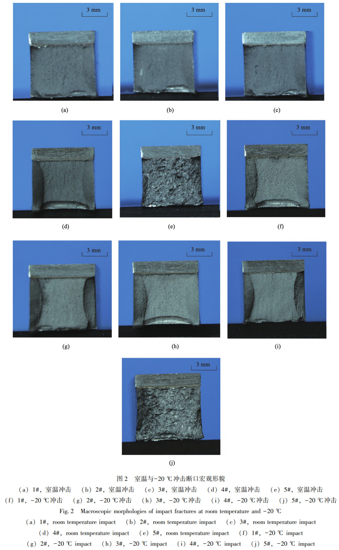 1759499664106331.jpg 未標(biāo)題-2.jpg