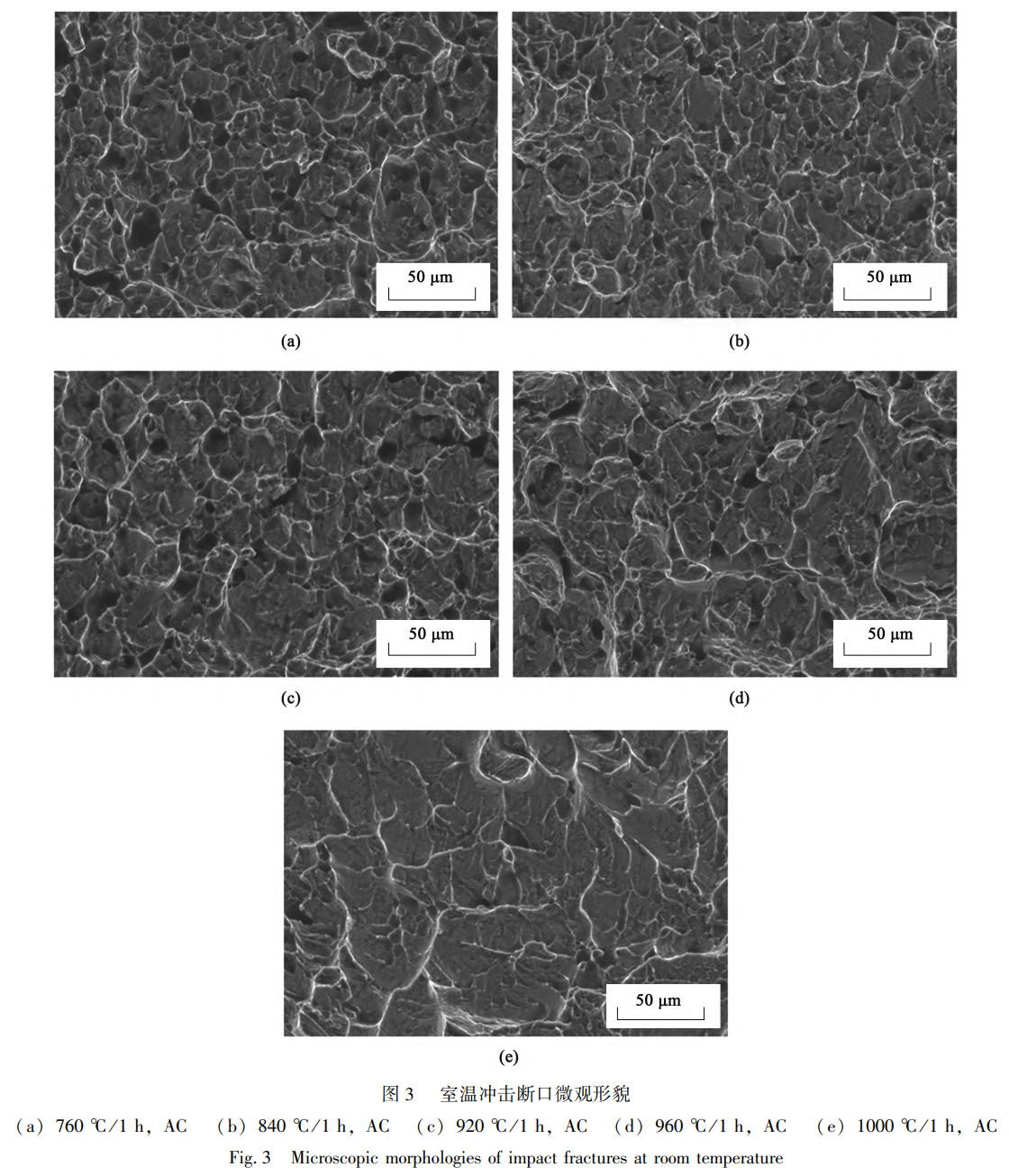 1759499675110355.jpg 未標(biāo)題-3.jpg