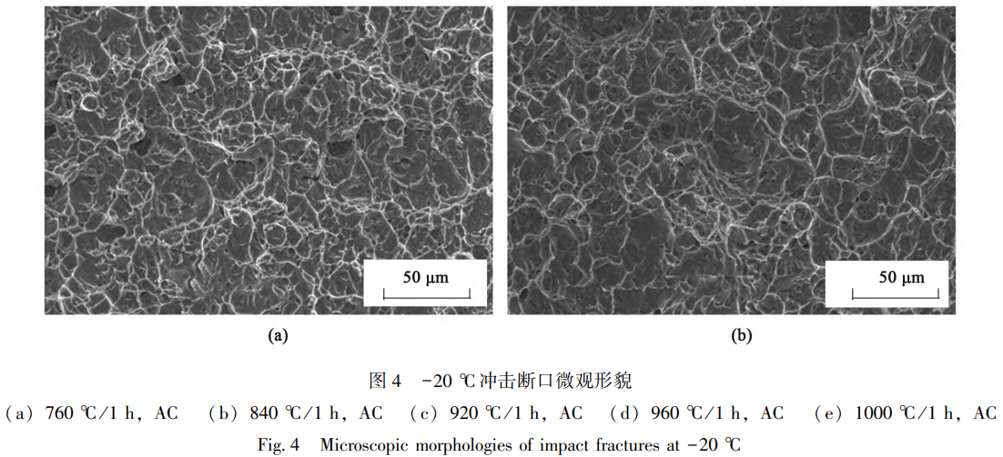 1759499685557476.png 截圖20251003214533.png