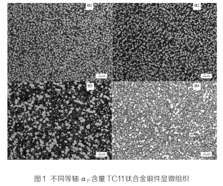 1649300106116177.jpg 1.jpg