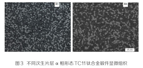 1649300211818636.jpg 3.jpg