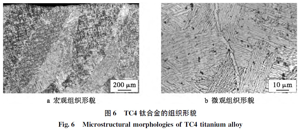 1664854267145883.jpg t6.jpg