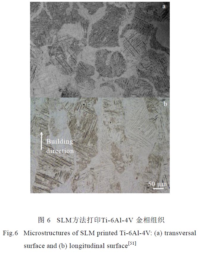 1670401322298442.jpg t6.jpg