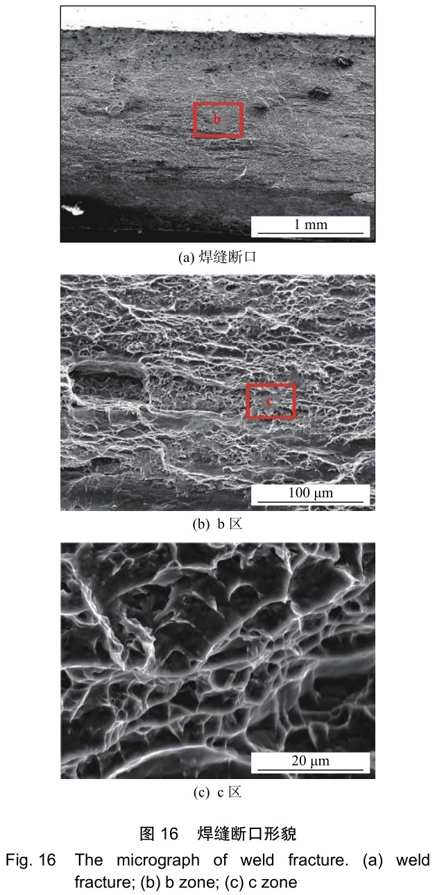 1701523221867545.jpg t16.jpg