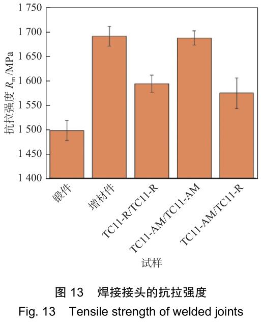 1701651872271634.jpg t13.jpg