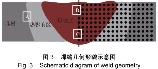 1701866367860374.jpg t3.jpg