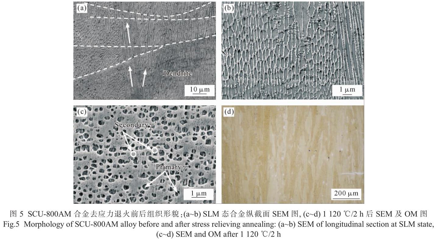 1701873201128765.jpg t5.jpg