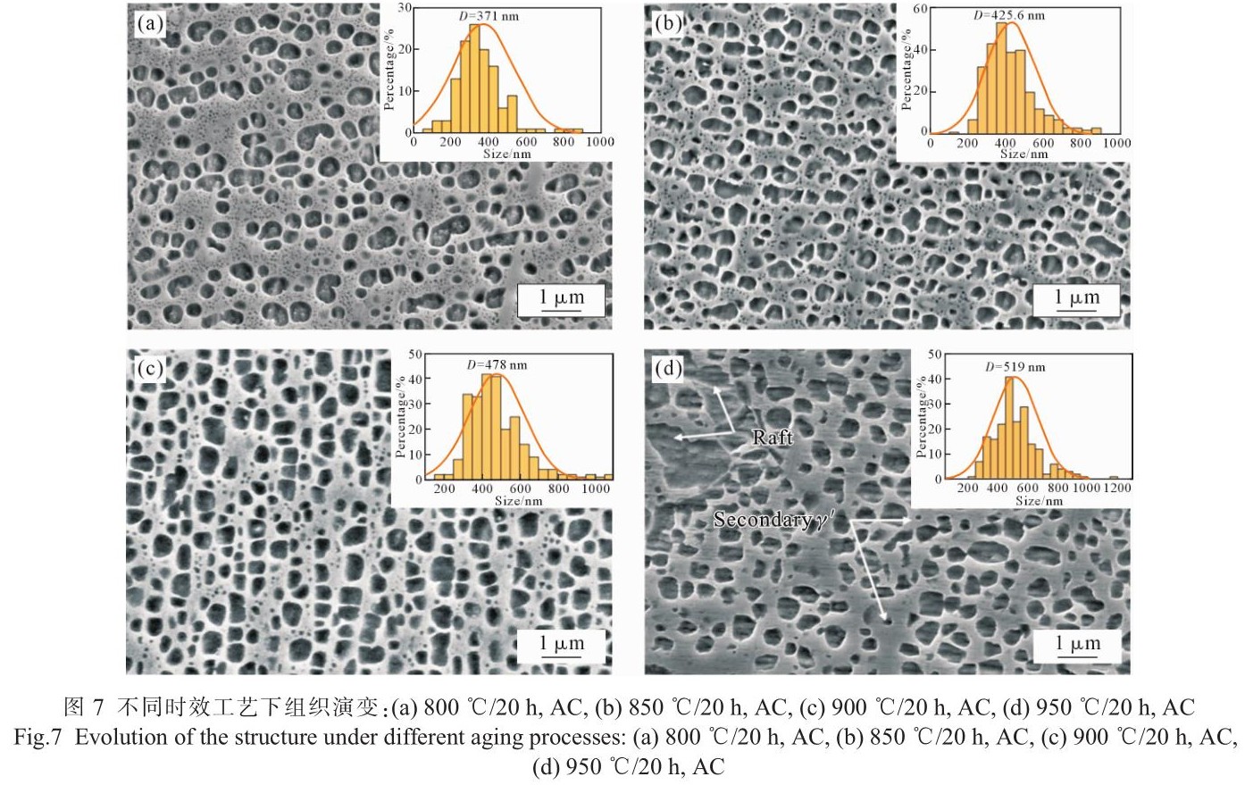 1701873225577329.jpg t7.jpg