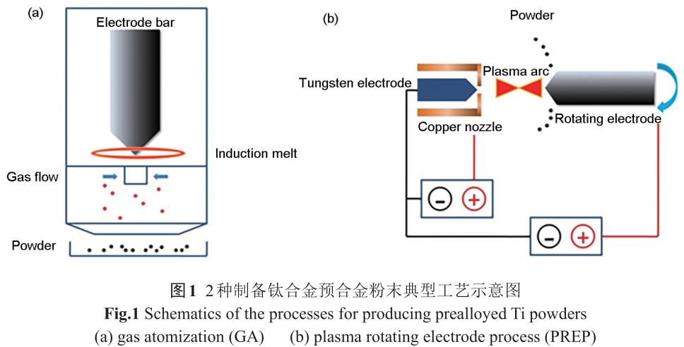 1701990540414296.jpg t1.jpg