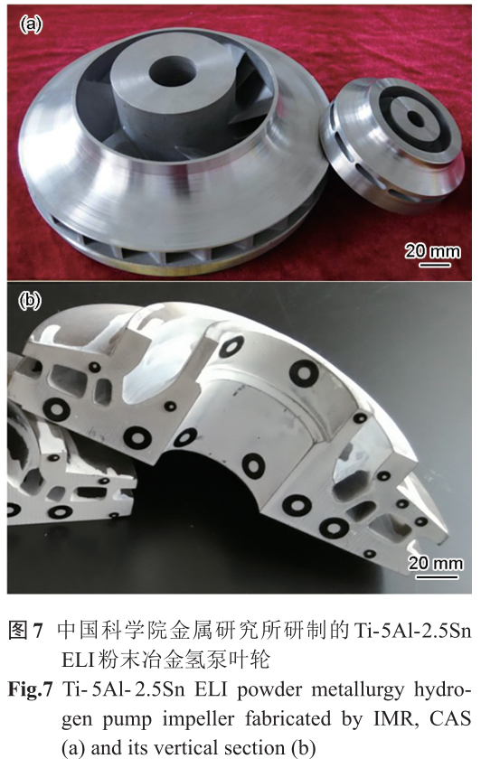 1701990613886723.jpg t7.jpg