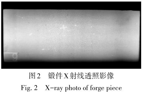 1704887206599165.jpg t2.jpg