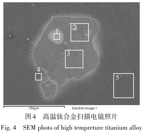 1704887225440927.jpg t4.jpg