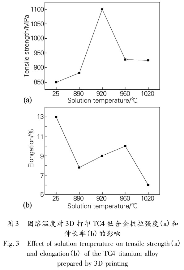 1705810638510757.jpg t3.jpg