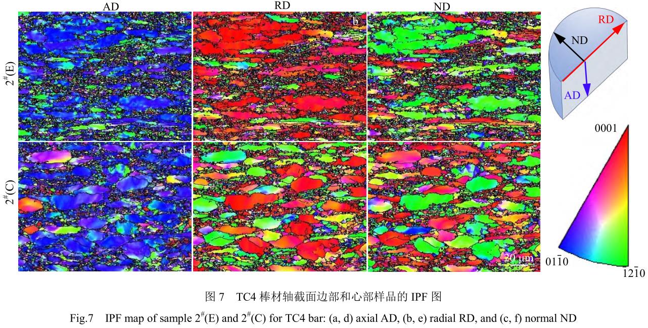 1705846635237921.jpg t7.jpg