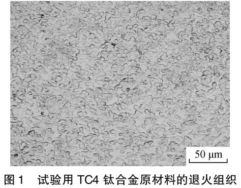 1708268908649104.jpg t1.jpg