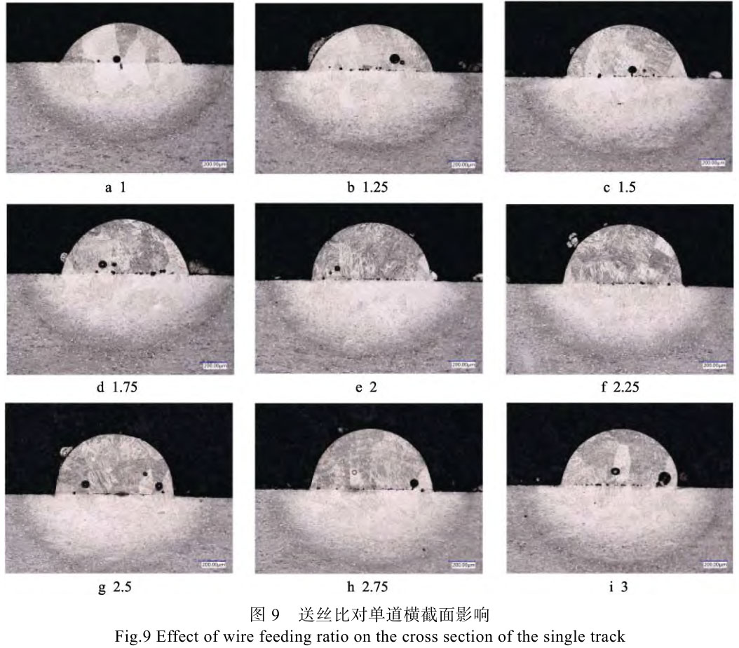 1708271041710216.jpg t9.jpg