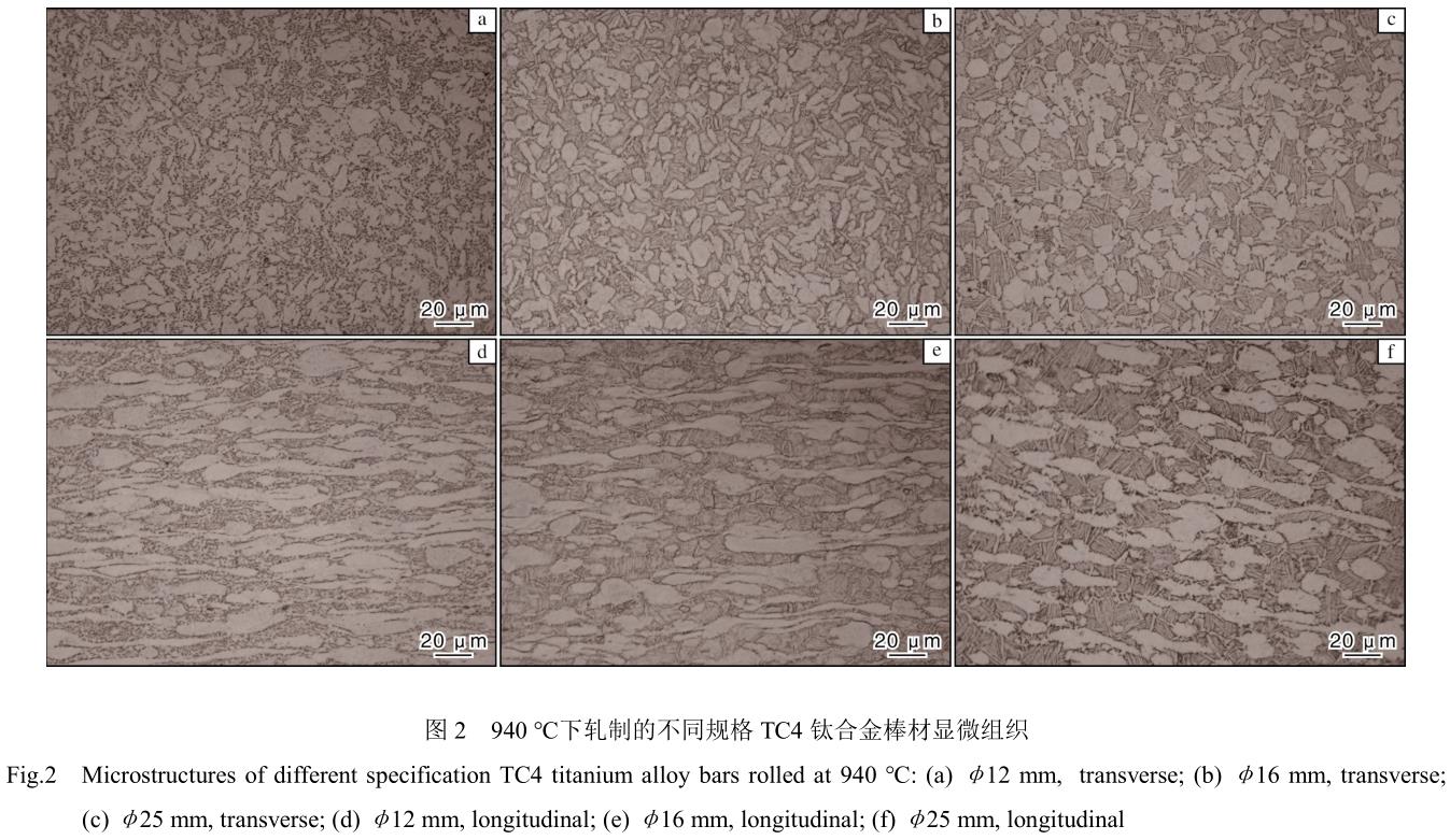 1708399171642890.jpg t2.jpg