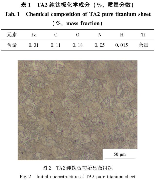 1708523999383469.jpg b1-t2.jpg