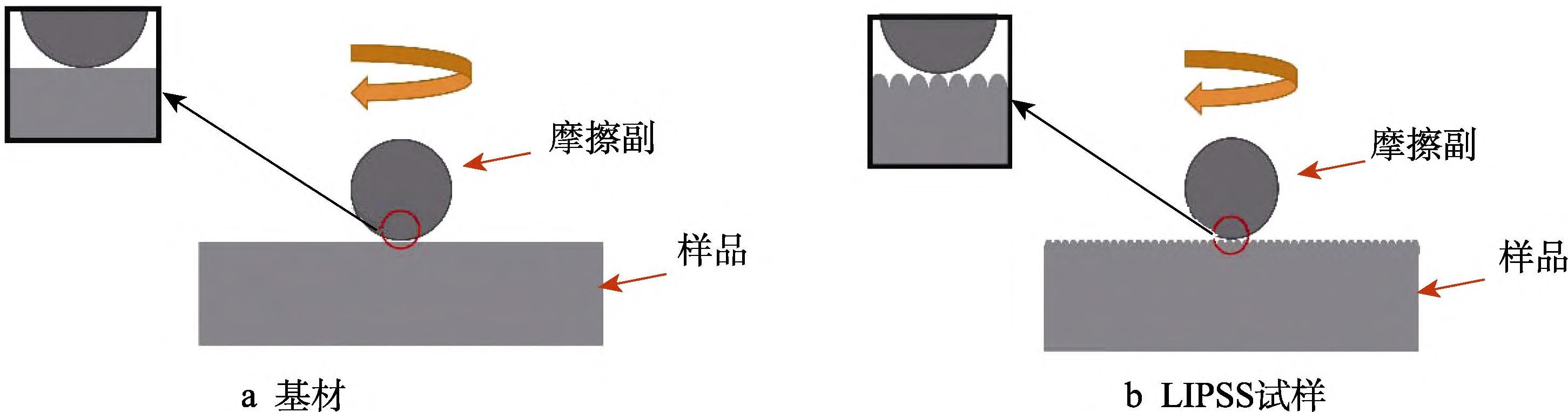 1709176922605365.jpg 4.jpg