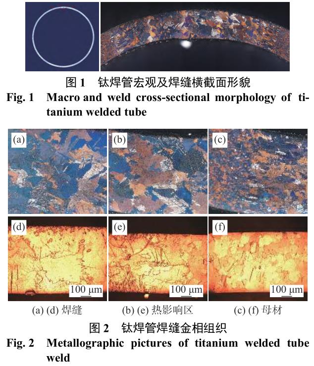 1710322476624060.jpg t1-2.jpg