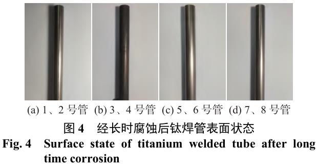 1710322491464415.jpg t4.jpg