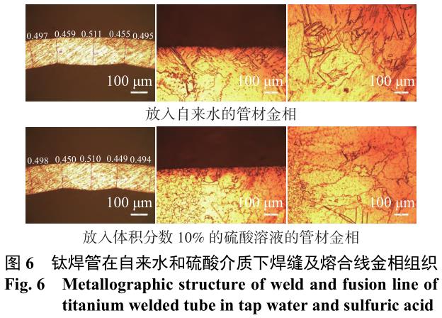 1710322519272281.jpg t6.jpg