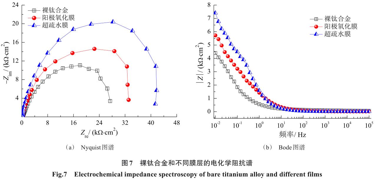 1717899356109644.jpg 360截圖16341022524592.jpg