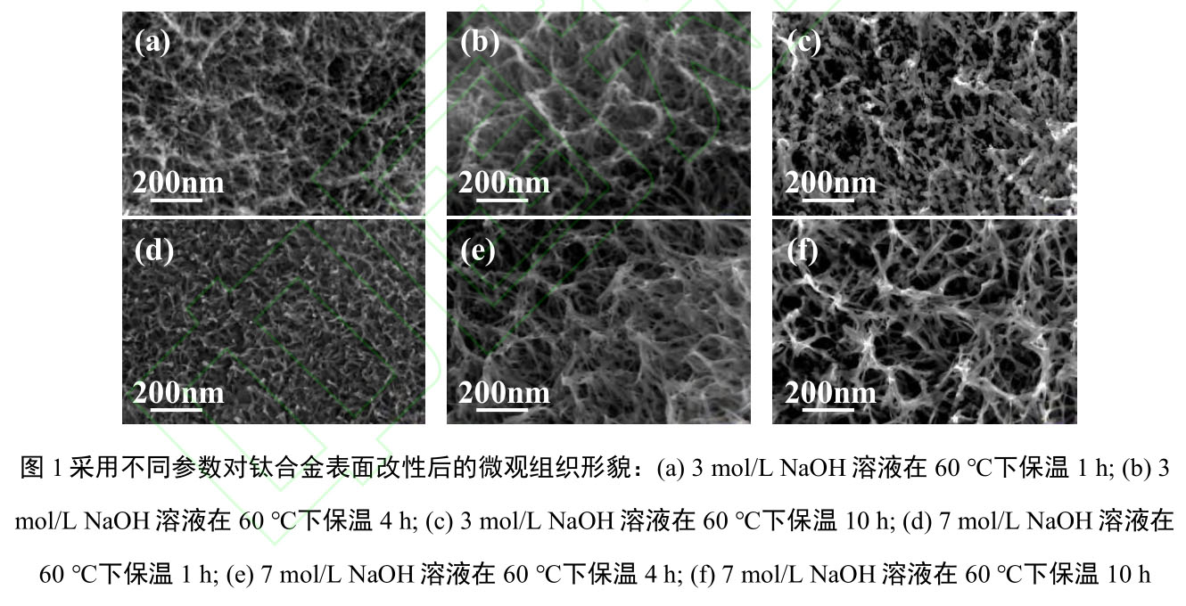 1717930967122640.jpg t1.jpg