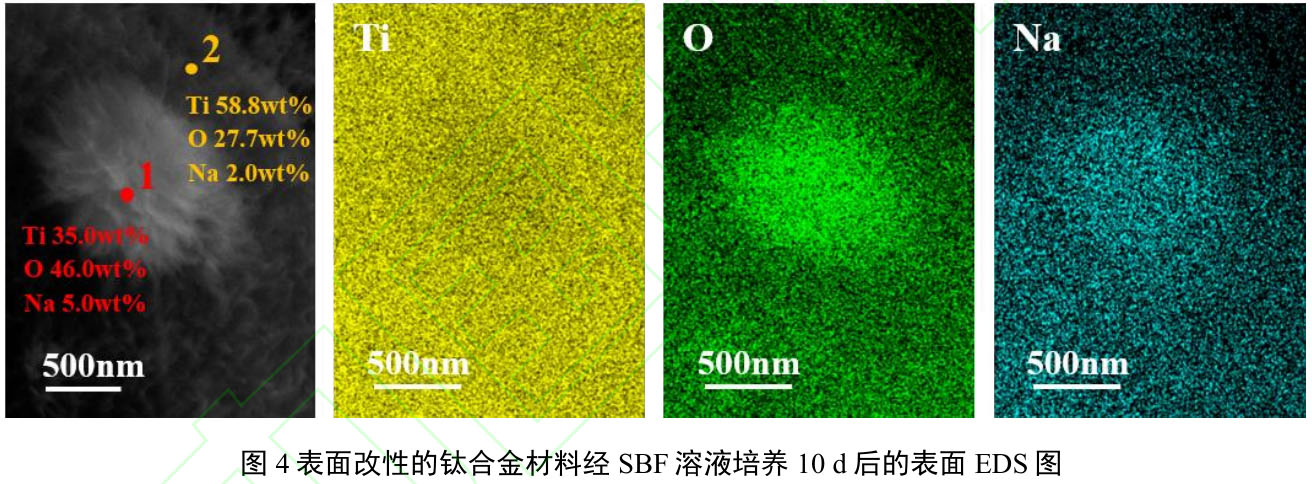 1717931002492369.jpg t4.jpg