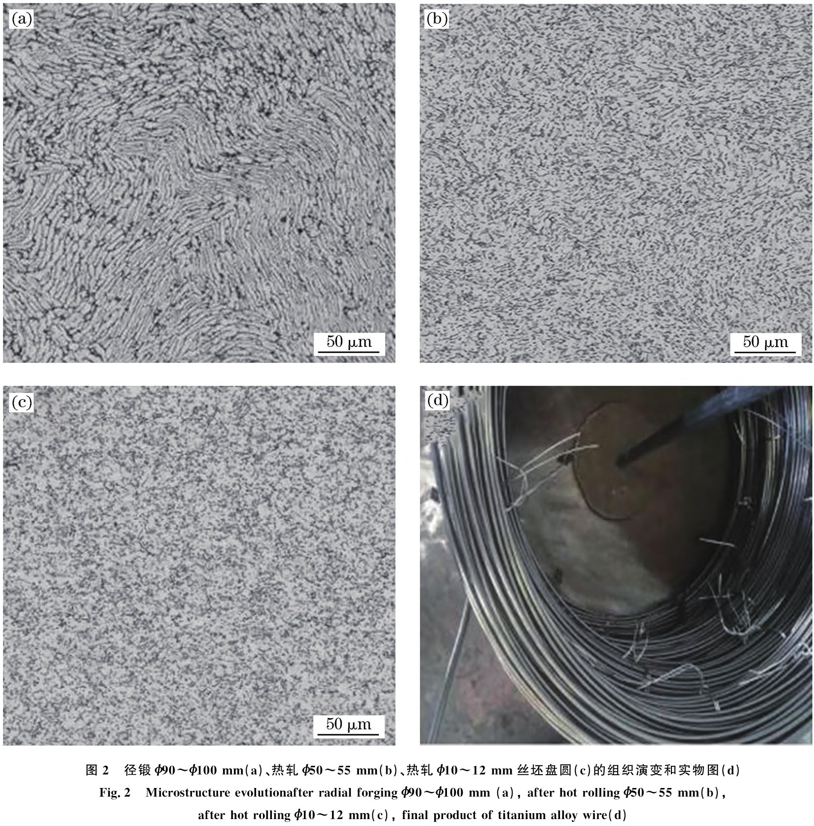 1719566199884919.jpg t2.jpg