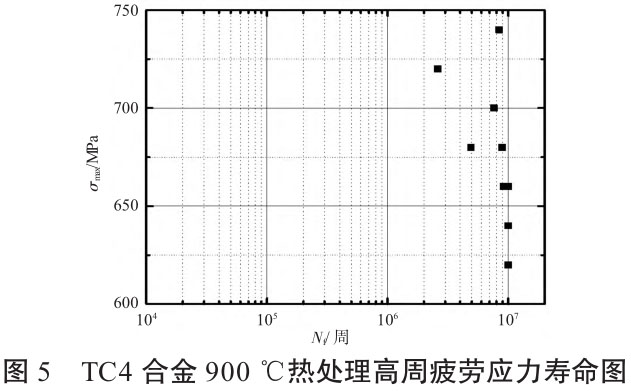 1723690908481783.jpg t5.jpg