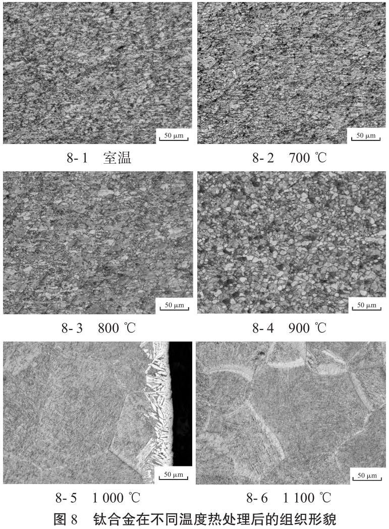 1723690964116129.jpg t8.jpg