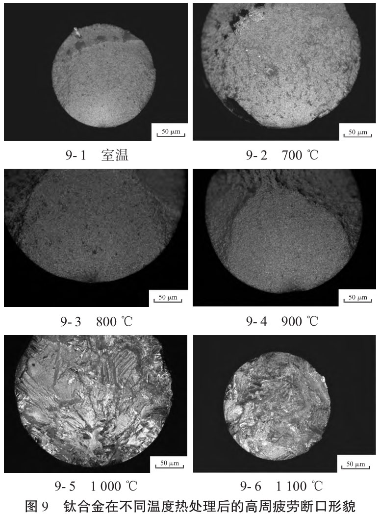 1723690971117803.jpg t9.jpg