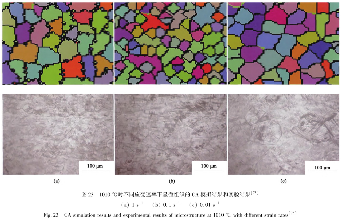 1729324521559996.jpg t23.jpg