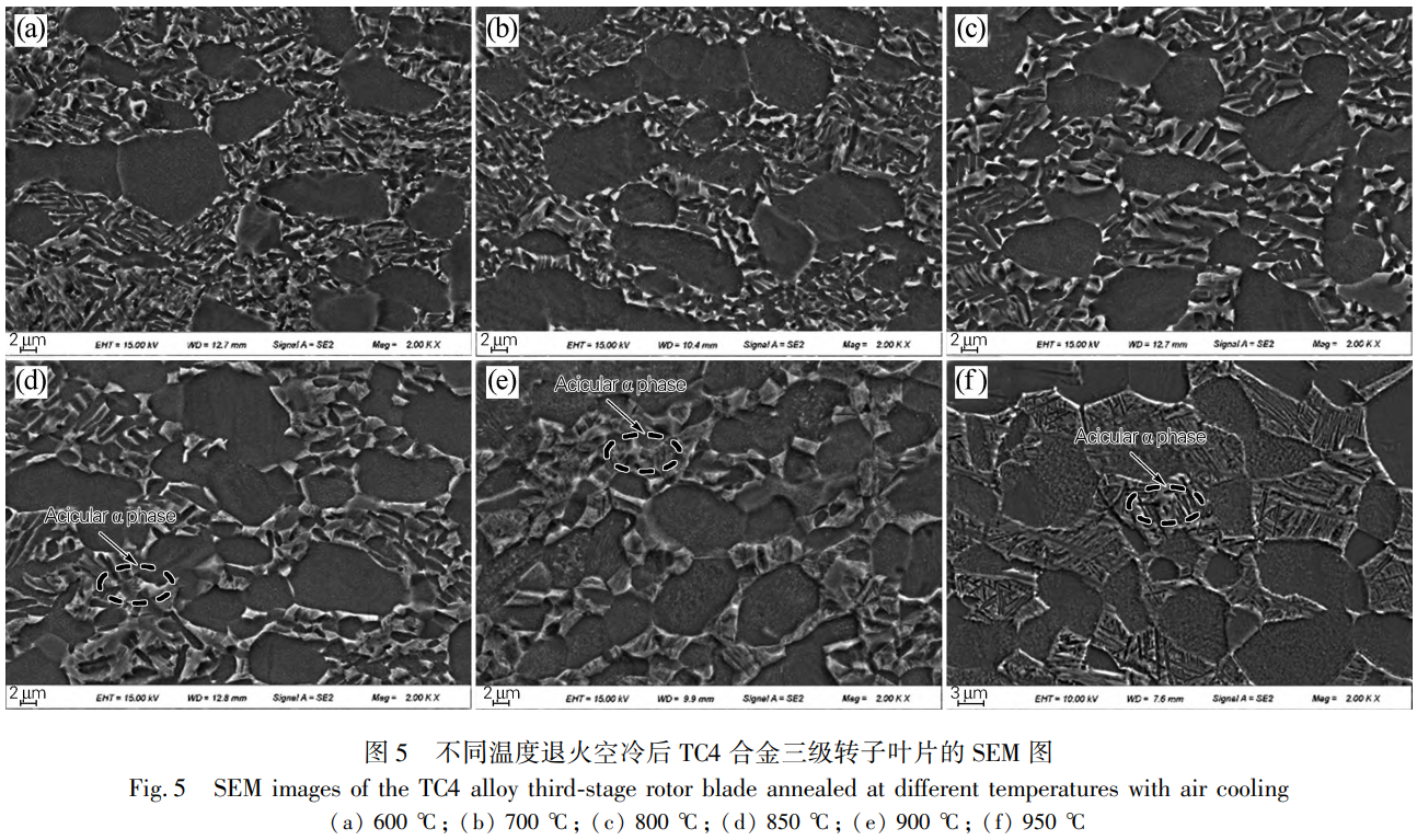 1731315030536112.png 5.png