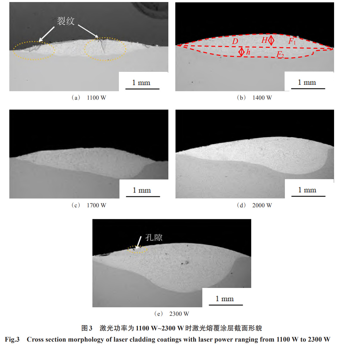 1734579306299586.jpg 3.jpg