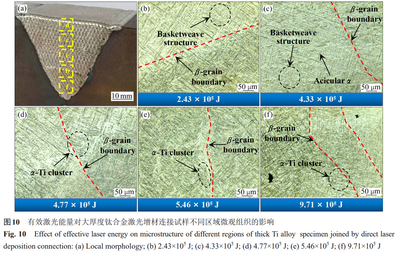 1735822415206119.jpg 10.jpg