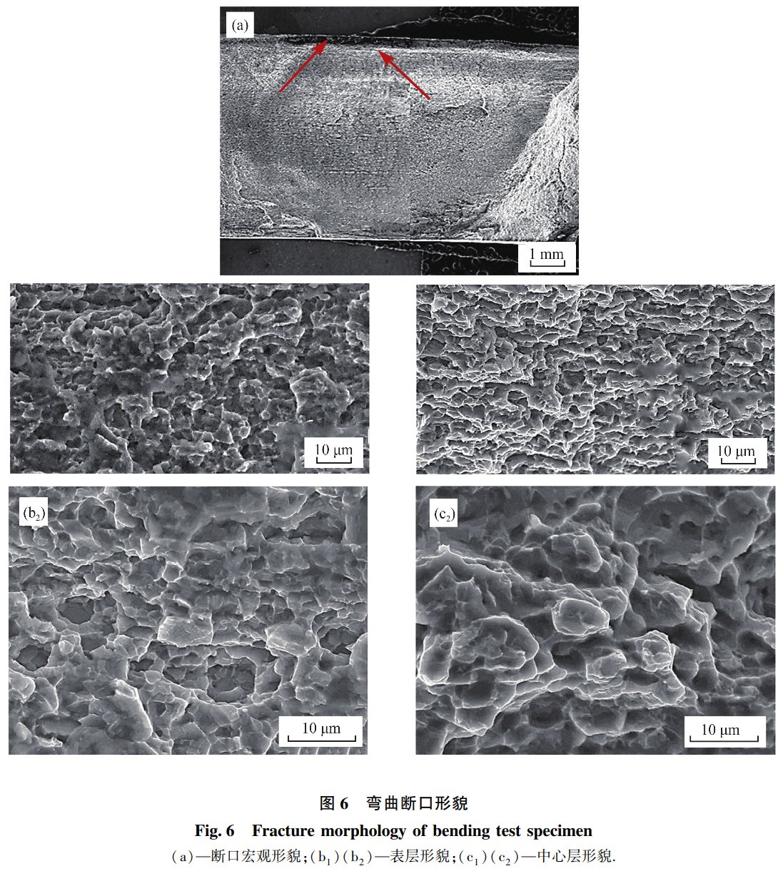 1739114126313962.jpg 6.jpg