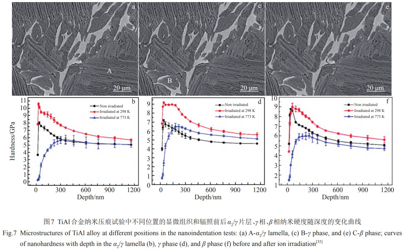 1739191806309895.jpg 7.jpg