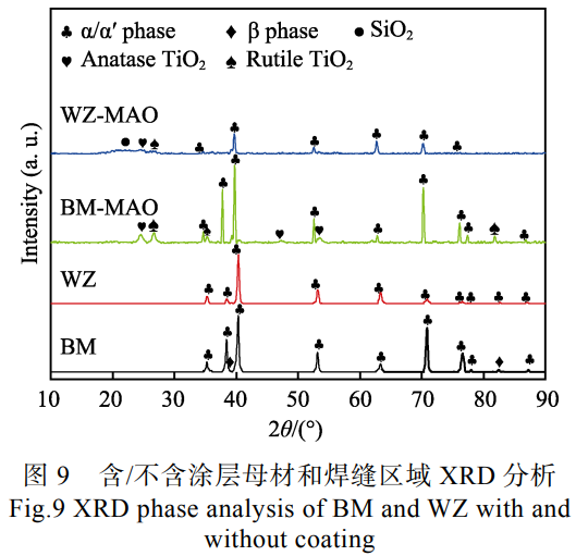 1739950807223952.png 截圖20250219153346.png
