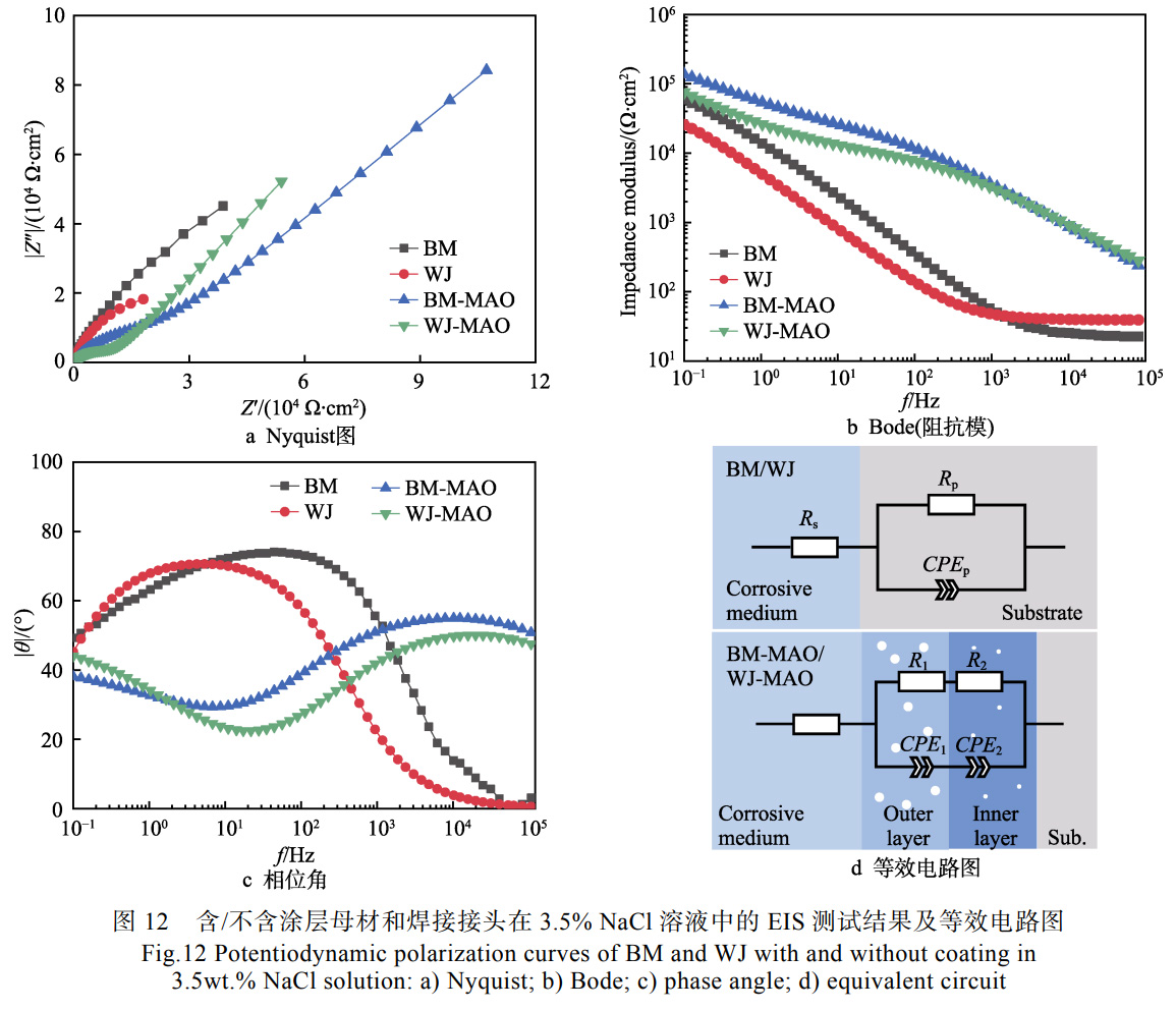 1739950861552354.jpg 12.jpg