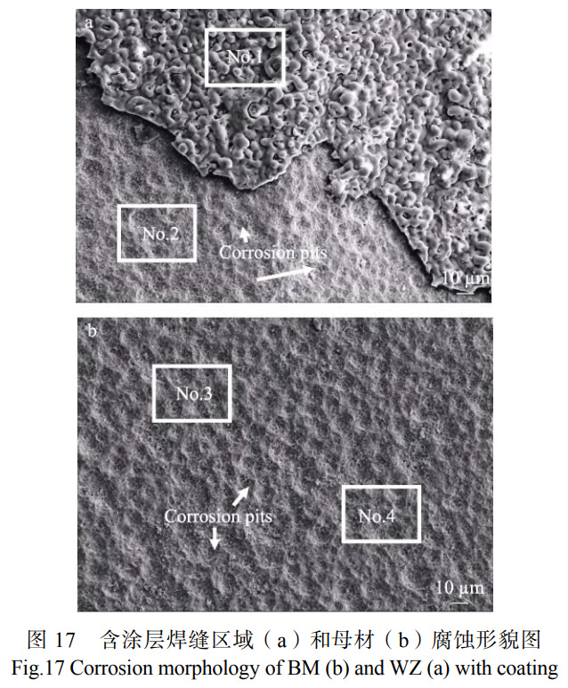 1739950911423495.jpg 17.jpg