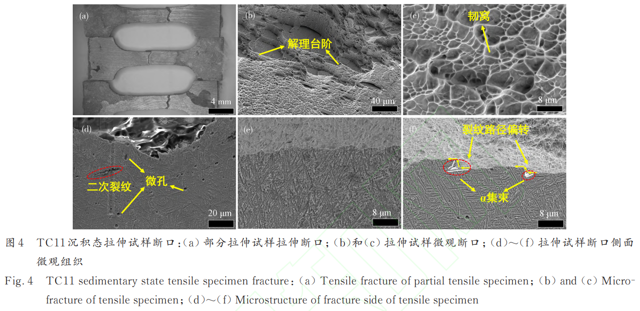 1746439944722374.png 截圖20250505180827.png