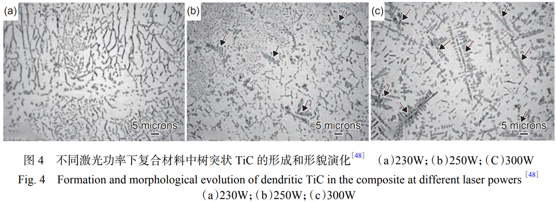 1746860883639495.png 4.png