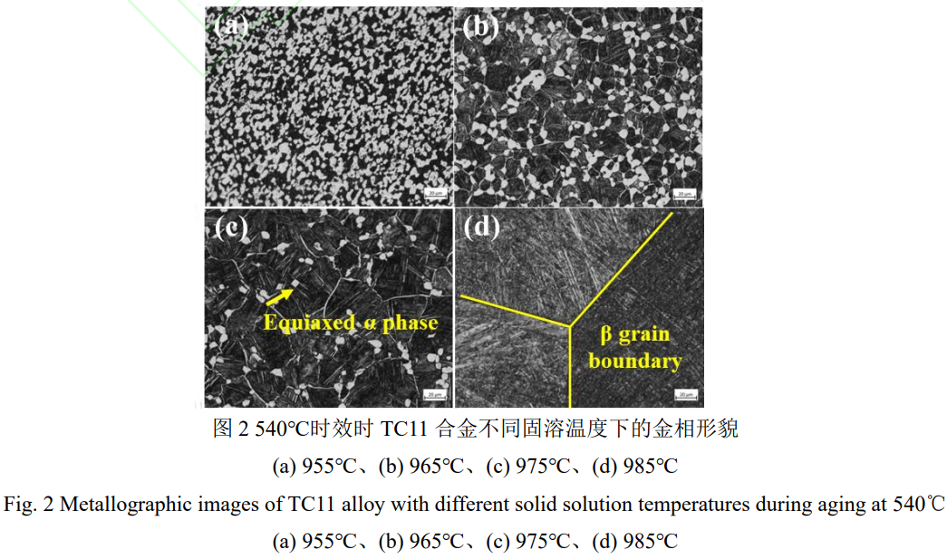 1746869026564706.png 2.png