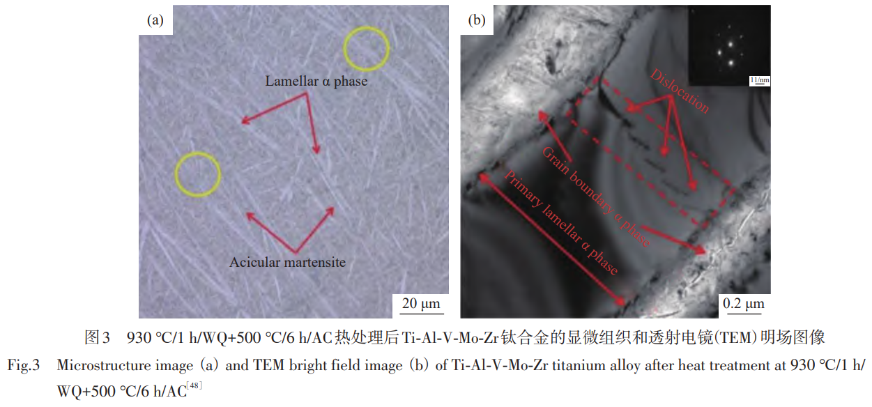 1746952845469777.png 3.png