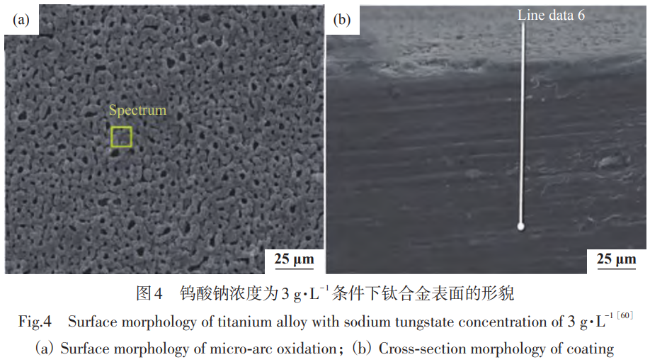 1746952854103370.png 4.png